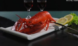 龙虾视频,探寻海洋美食的魅力之旅